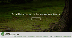 Desktop Screenshot of cfc4playtherapy.com